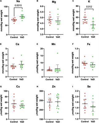 Contrasting Sodium and Potassium Perturbations in the Hippocampus Indicate Potential Na+/K+-ATPase Dysfunction in Vascular Dementia